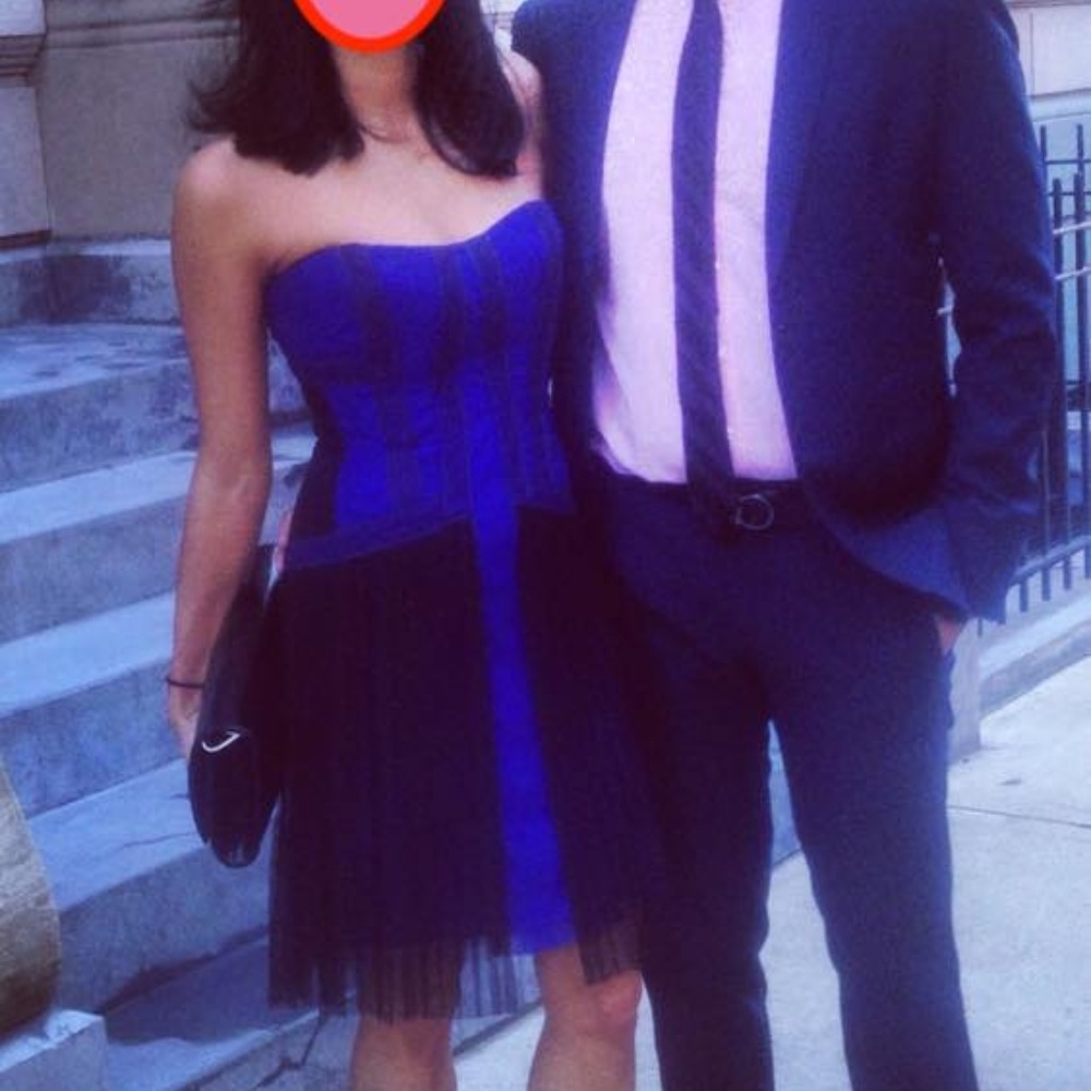 BCBG Max Azria Blue and Black Lace Bustier Dress